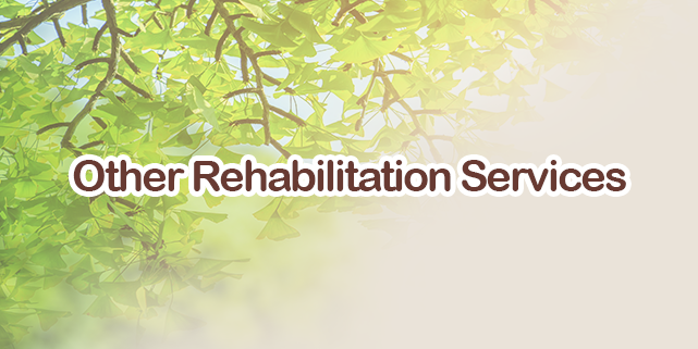 Other Rehabilitation Service
